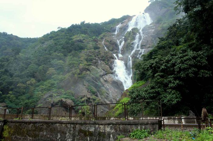 Dudhsagar Waterfall Trip